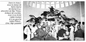 C 133- Santa-Cruz